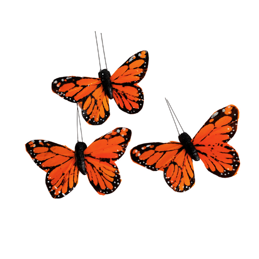 Butterfly Accents - Orange