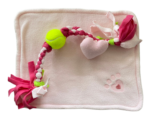 Pet Blanket and Toy Set - Pink