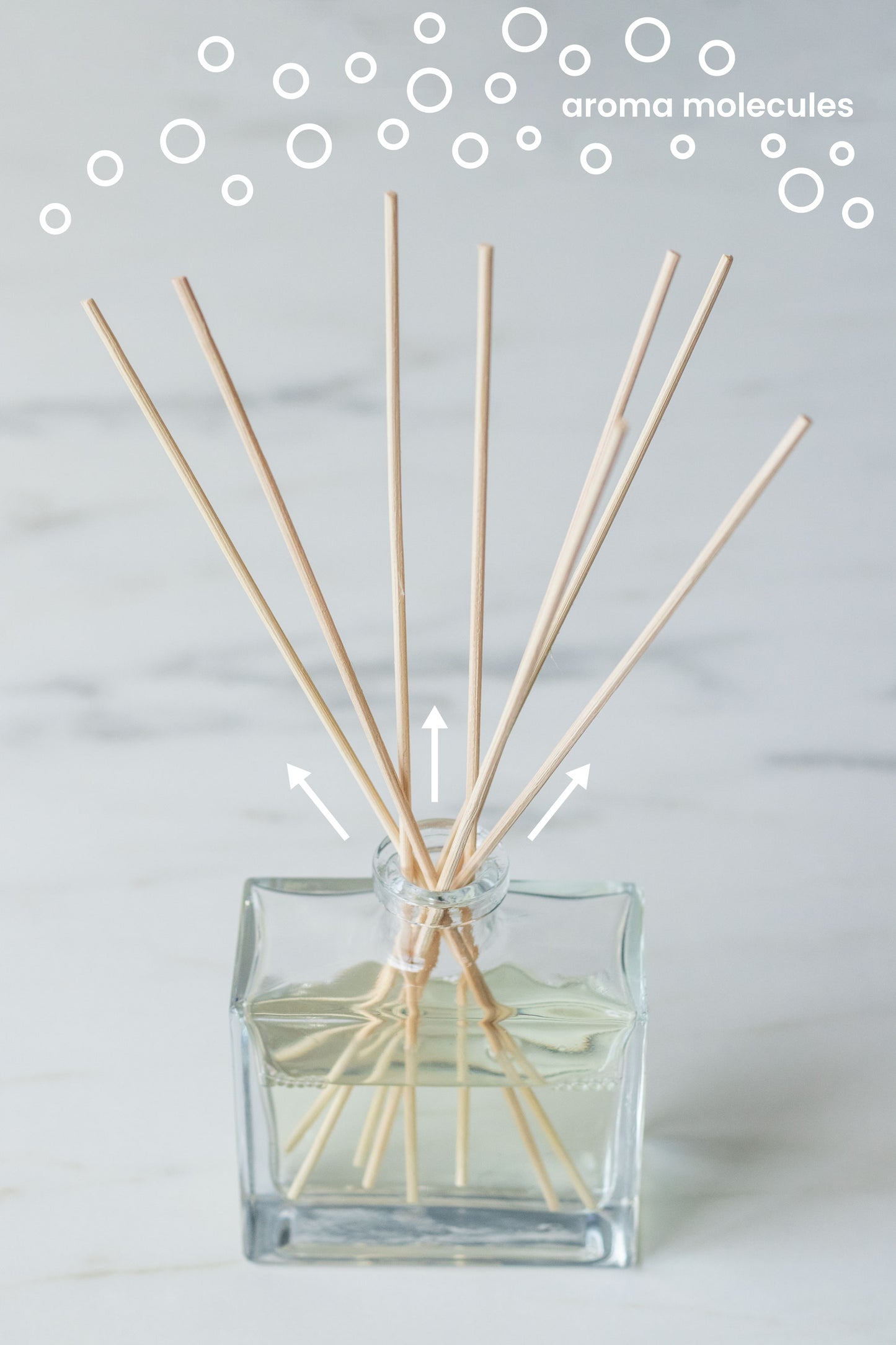 Red Currant Scented Reed Diffuser
