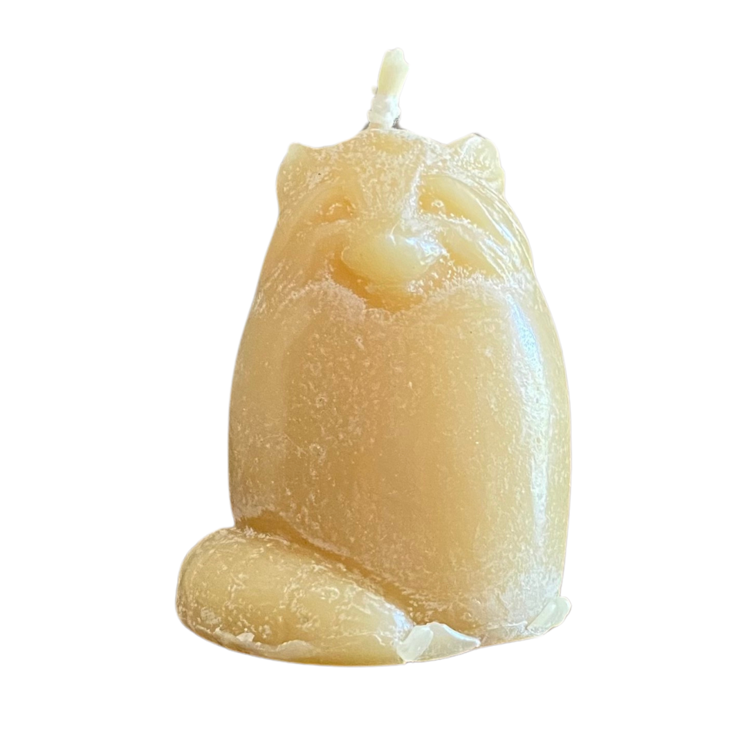 Raccoon Beeswax Candle