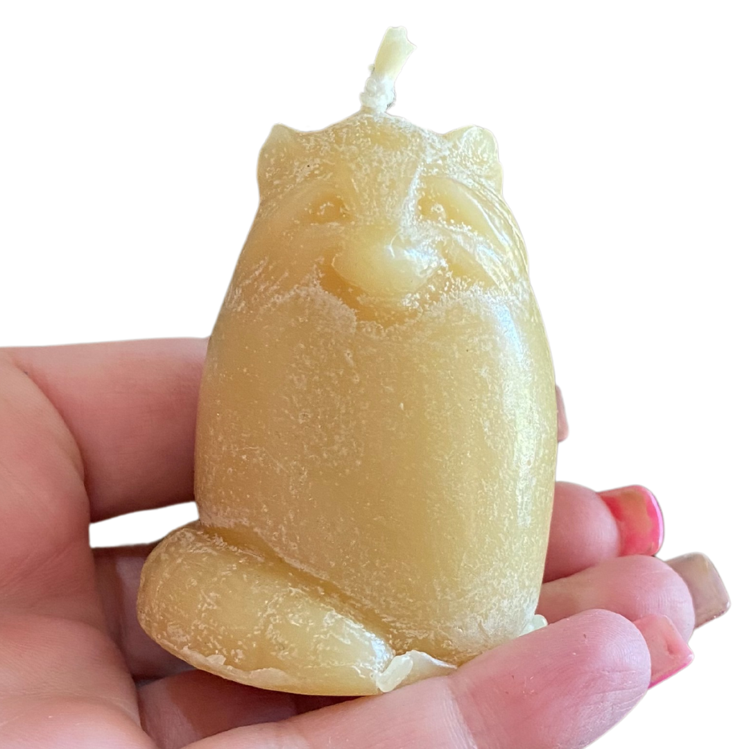 Raccoon Beeswax Candle