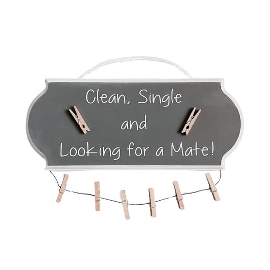 Clean Single and Looking for a Mate Laundry Sign