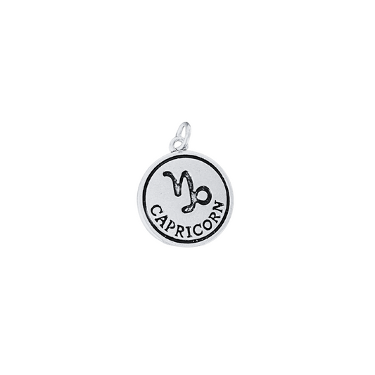 Capricorn Zodiac Charm